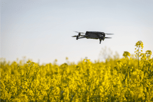 Maximiser le rendement agricole avec le drone multispectral ?